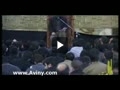 شهادت امام باقر / کریمی / ای به سینه ات پنهان گنج های قرآنی