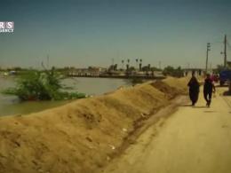 فیلم| استقامت غرورآفرین جوانان خوزستانی/ سیل را به گریه انداختیم