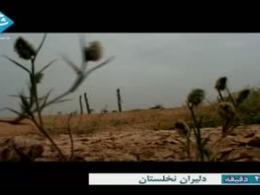 مستند دلیران نخلستان - شهید بهنام محمدی