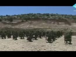 نیروهای ویژه و گردانهای پیاده نظام حزب الله