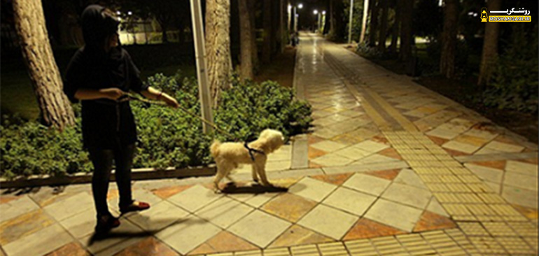 سگ‌بازی بچه‌پولدارها در پاتوق شبانه