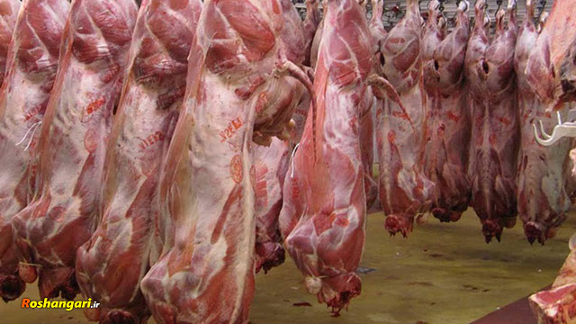 واردات گوشت های پر خطر