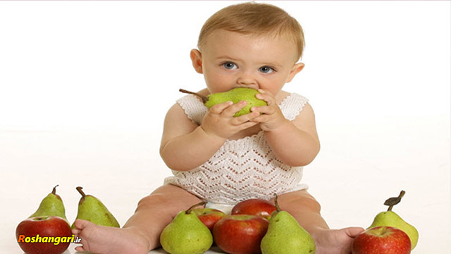 مواد غذایی جهت افزایش هوش کودک