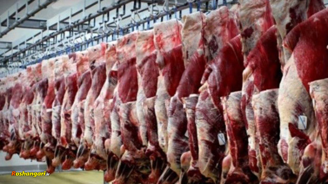  علت گرانی قیمت گوشت گوسفندی؟