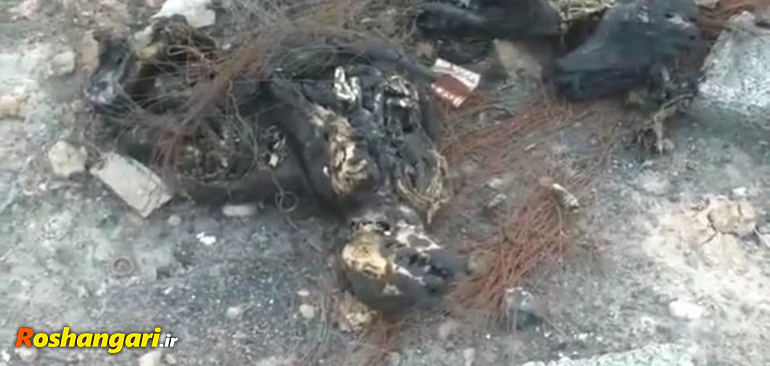 ماجرای آتش زدن 300 قلاده سگ توسط شهرداری اهواز!