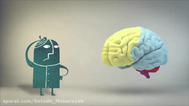 از چند درصد مغز خود استفاده می کنید؟