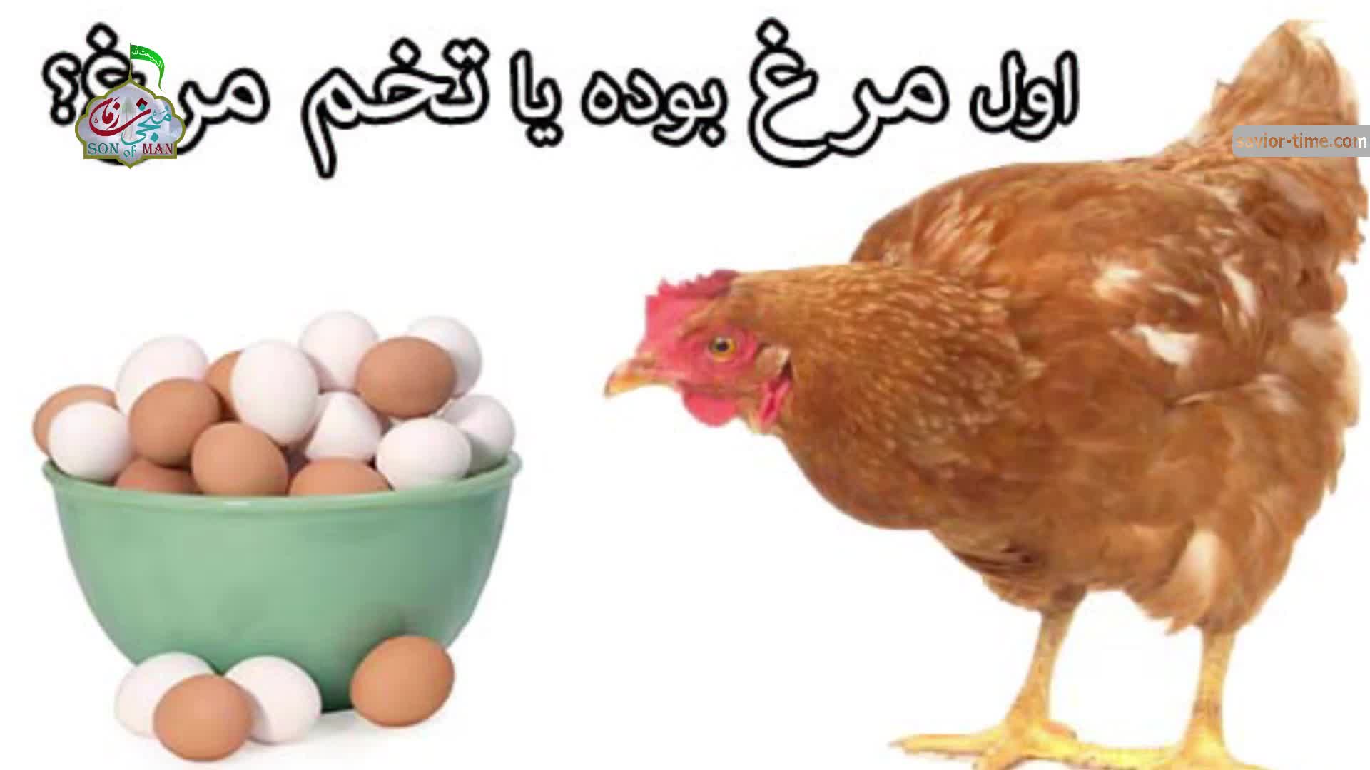مرغ یا تخم مرغ؟