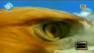 عقاب ها - EAGLE - بخش اول